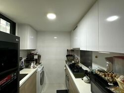 Boathouse Residences (D19), Condominium #474916641